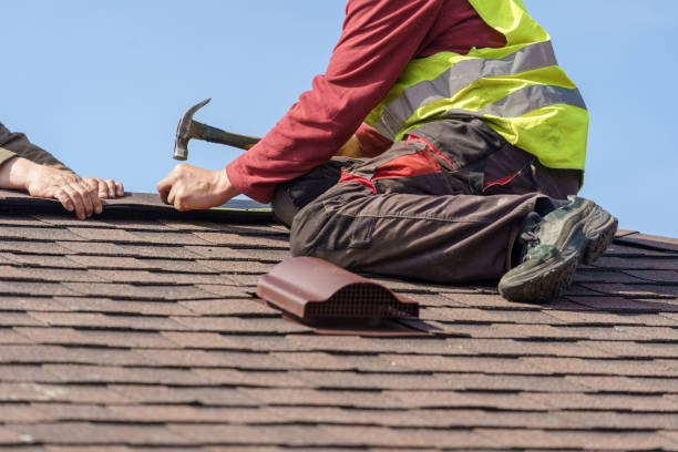 Best Roof Maintenance Services  in Roselle Park, NJ