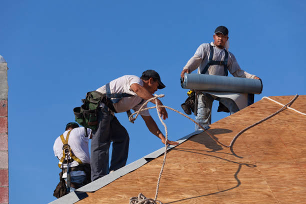 Best Roof Restoration Services  in Roselle Park, NJ
